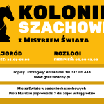 PŁASKA GRAFIKA KOLONIE SZACHOWE yt
